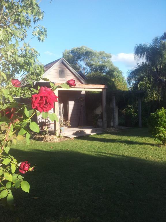 The Laurels Of Chinchilla Hotell Rum bild