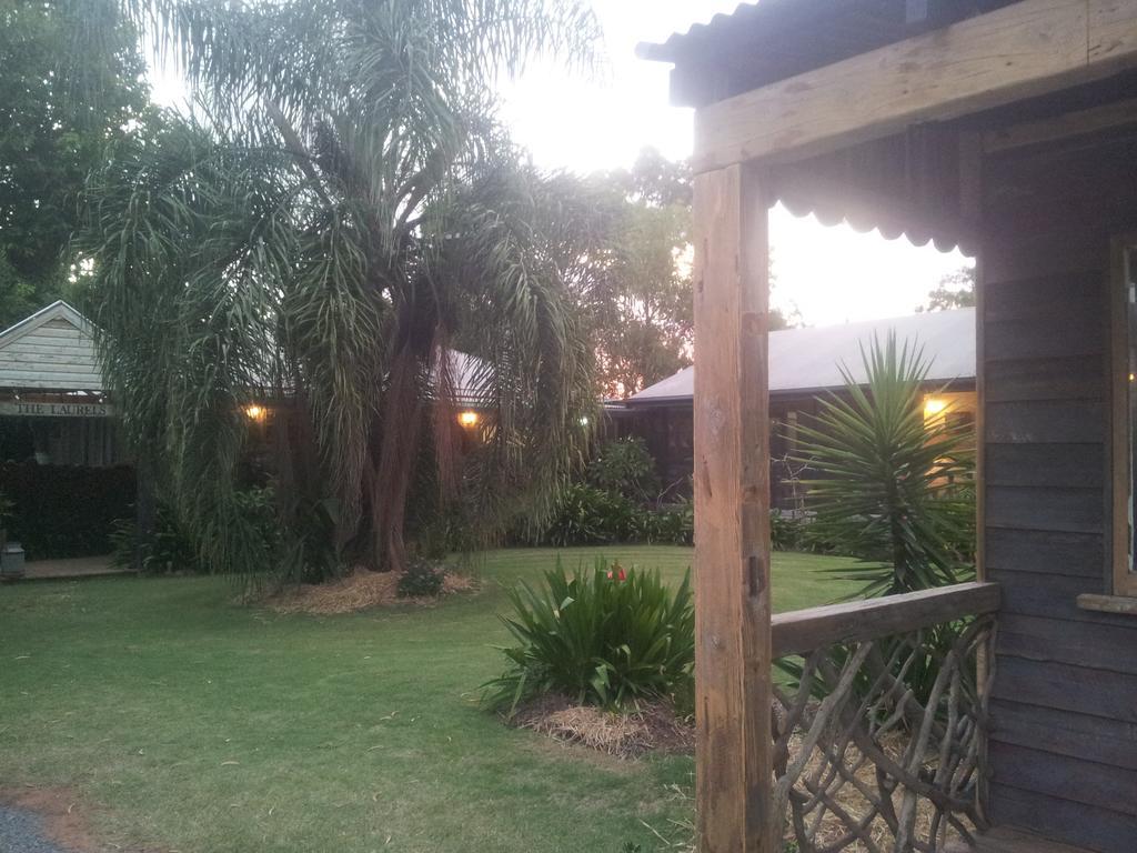 The Laurels Of Chinchilla Hotell Rum bild